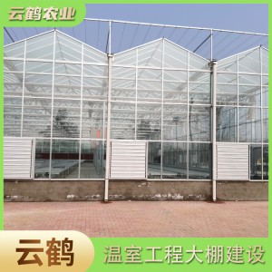 玻璃温室大棚设计 加厚热浸镀锌钢管 轻钢结构